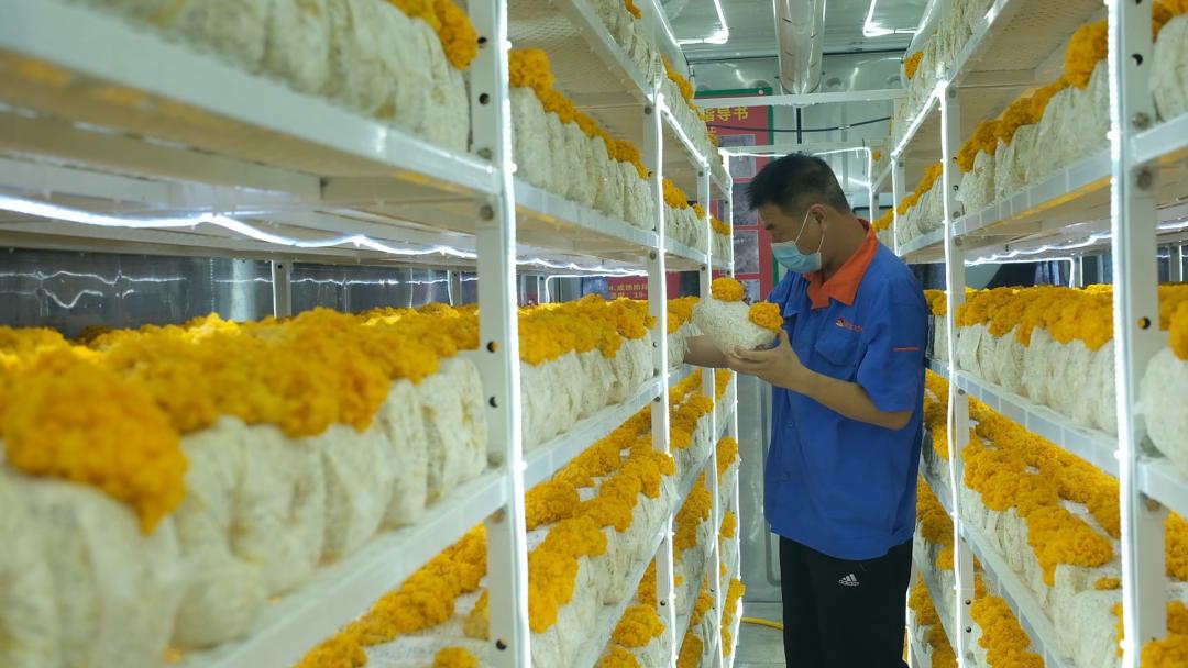 ɽ|fS𡱮a(chn)I(y)ġƼ(wn)a(chn)